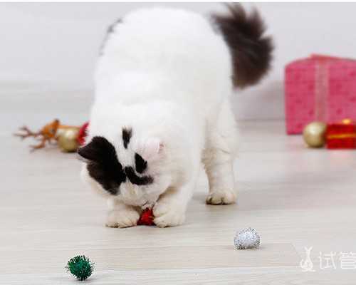 中国供卵医院有几家,厦门三代试管助孕生孩子多少钱？助孕生孩子价格详细表