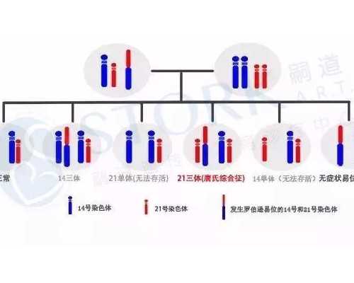 国内怎么代生孩子,哈萨克斯坦做三代试管的医院名单一览！如何提高试管成功率